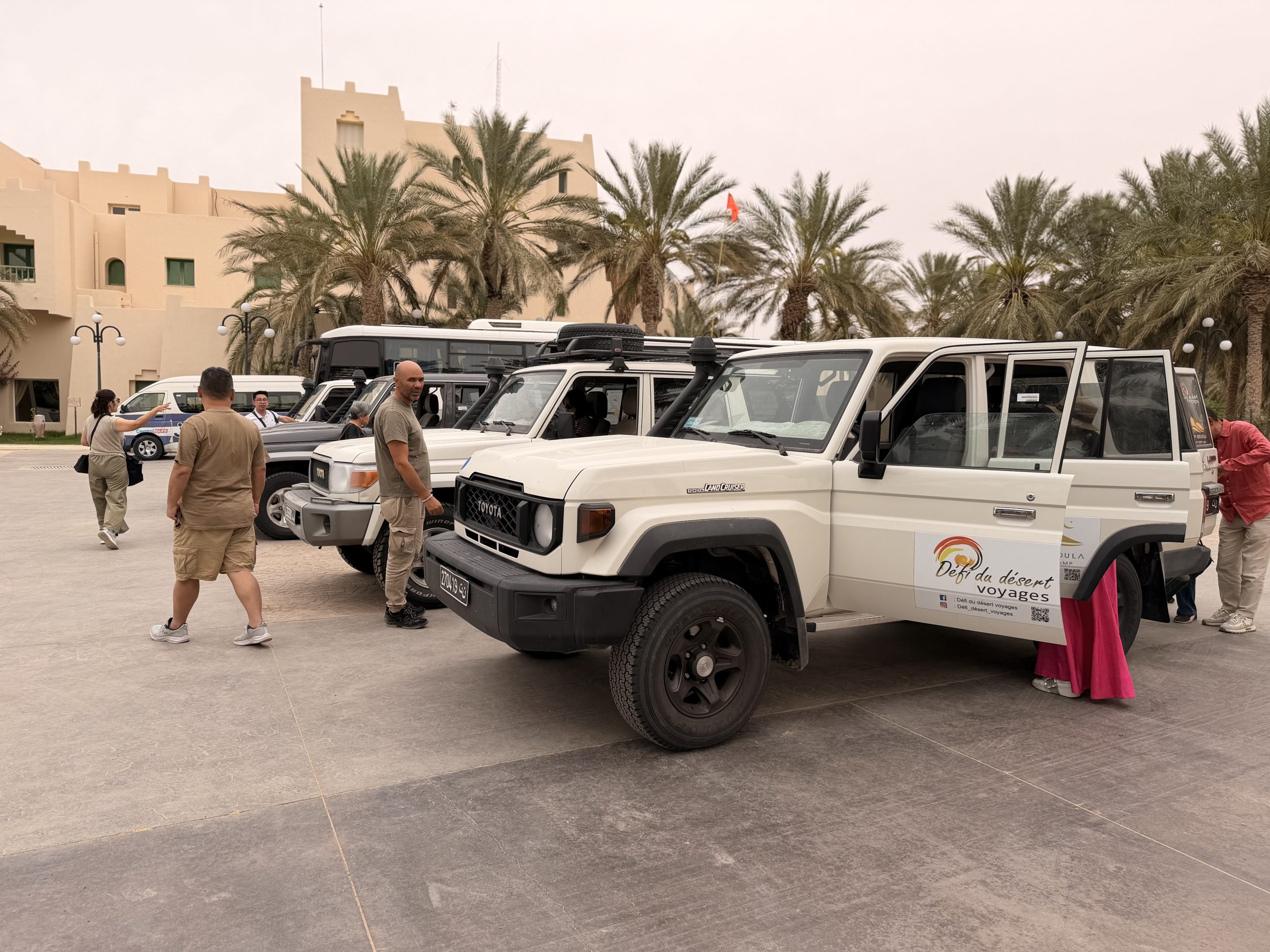 L'Expertise du Grand Sud Tunisien
