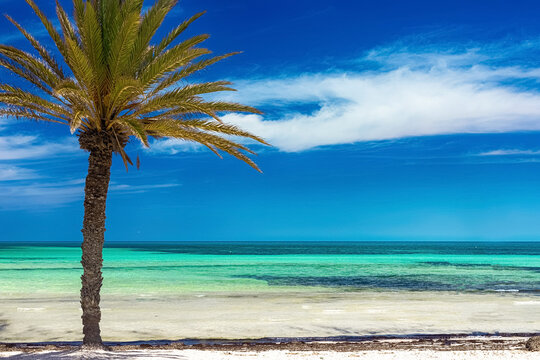 Djerba
